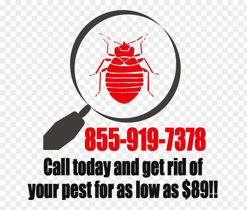 Bed Bug Pest Control Anaheim Marcela R. Font, Lac PNG
