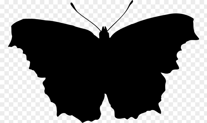 Butterfly Silhouette Clip Art PNG