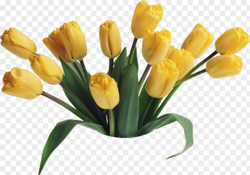 Crocus Desktop Wallpaper Love Flower Bouquet Clip Art PNG