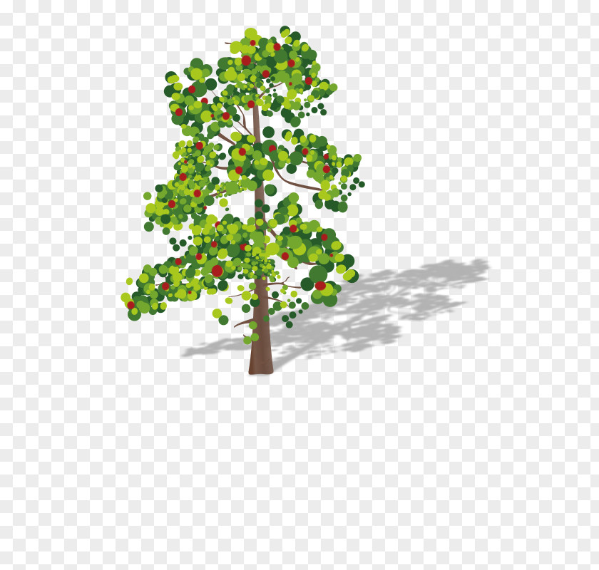 Durian Tree Clip Art PNG