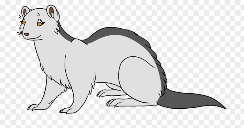 Ferret Drawing Elegant Whiskers Cat Macropods Canidae PNG