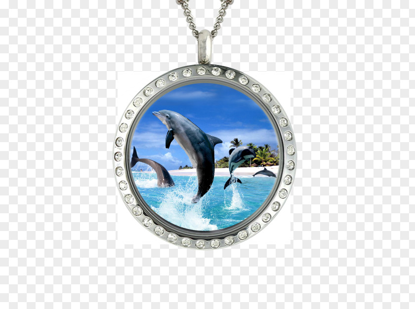 Nature Sea Animals Dolphin Desktop Wallpaper Wallpapers 3d IPhone 7 PNG
