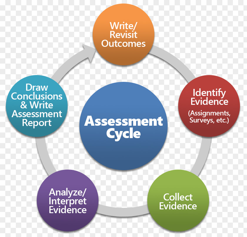 Organization Management Dėstymas Business System PNG