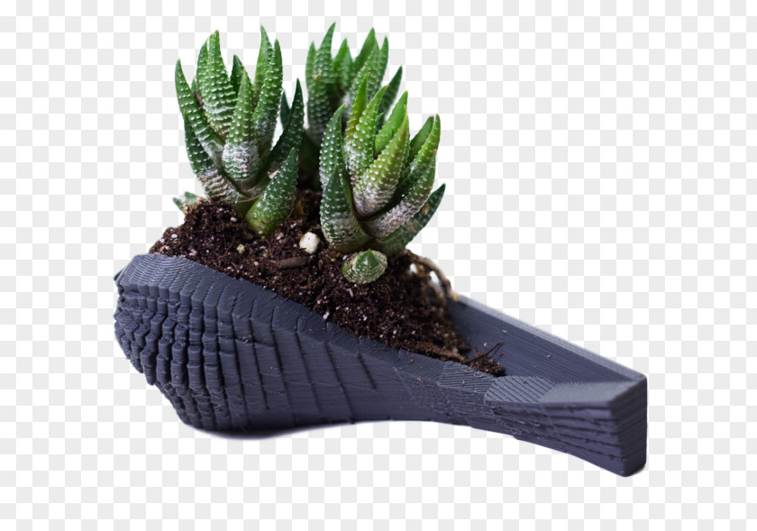 Planters Citroën Cactus M Flowerpot PNG