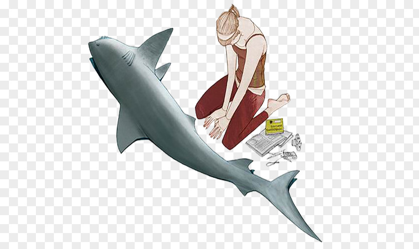 Simple Beauty And Shark Requiem Illustration PNG