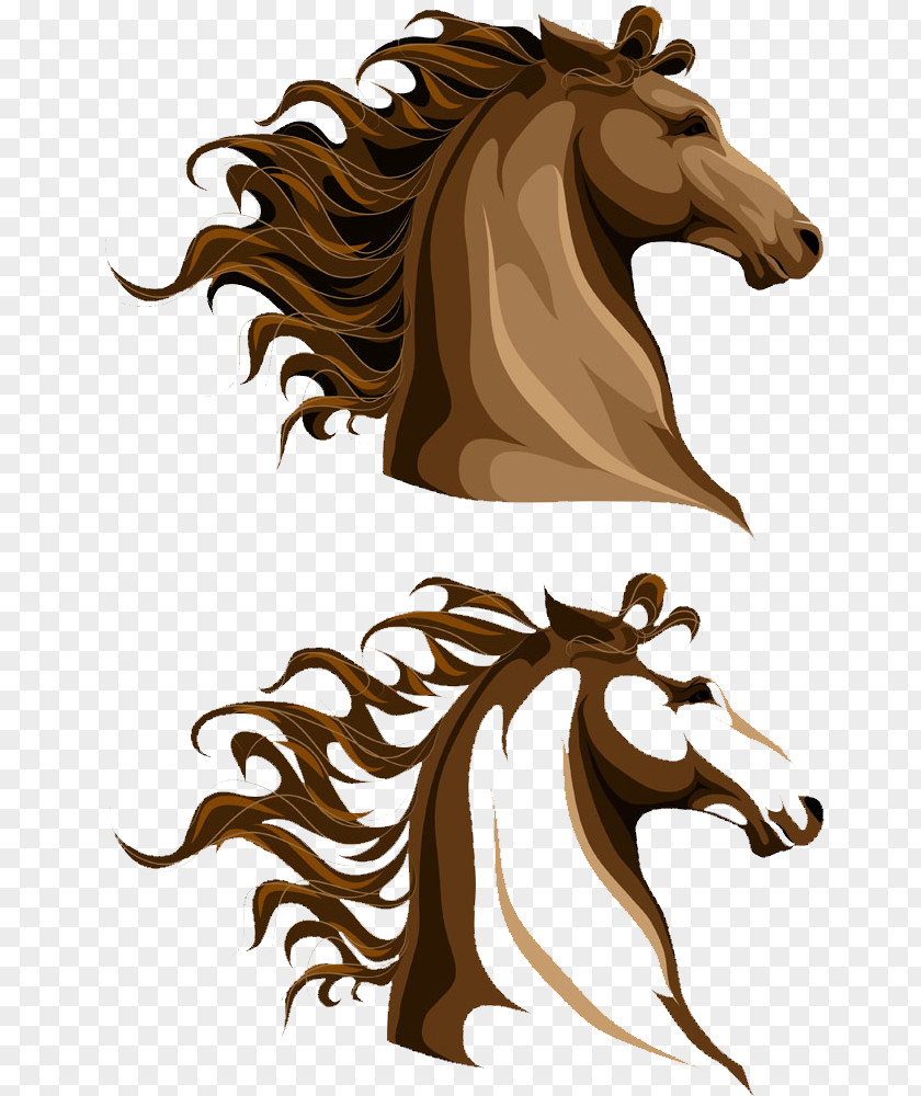 Brown Horse Head Mane Illustration PNG