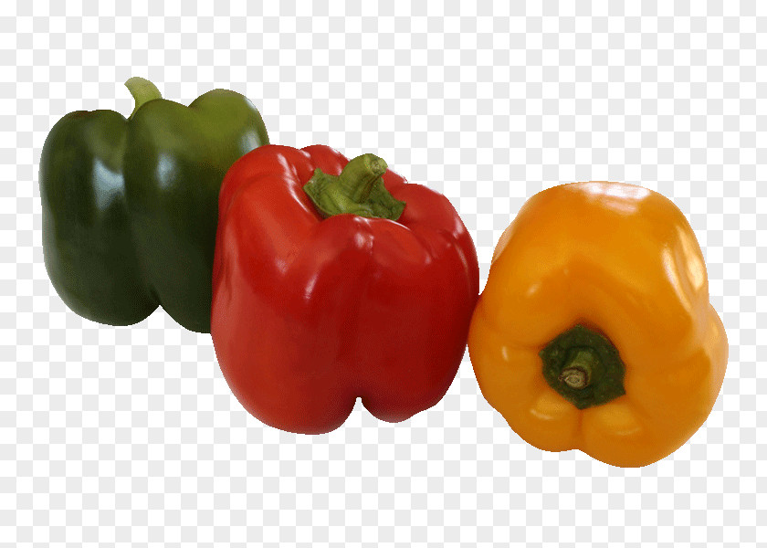 Chili Pepper Yellow Bell Friggitello Capsicum Annuum Var. Acuminatum PNG