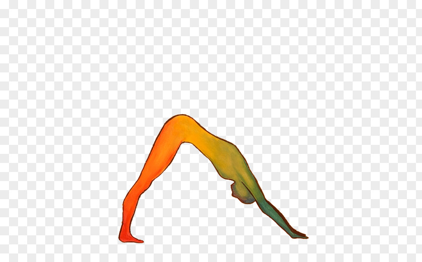 Yoga Goga Liman, Novi Sad Liman 4 Clip Art PNG