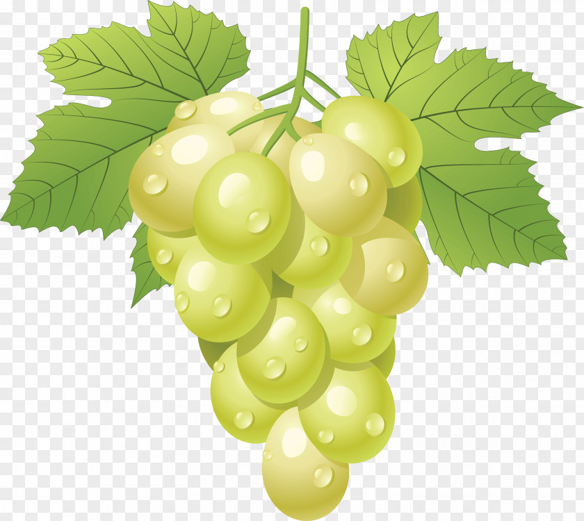 Green Grape Image Juice Fruit Clip Art PNG