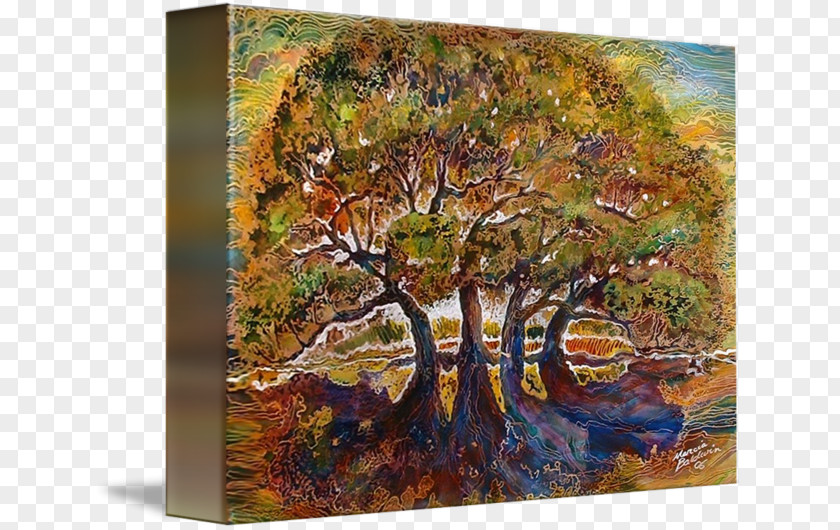 Painting Canvas Acrylic Paint Tree Of Life Gallery Wrap PNG