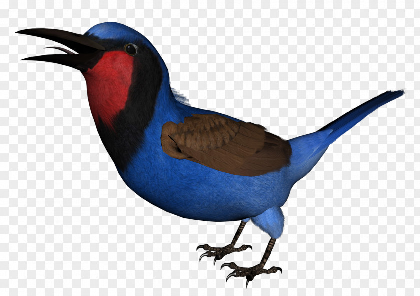 Blue Bird Clip Art PNG