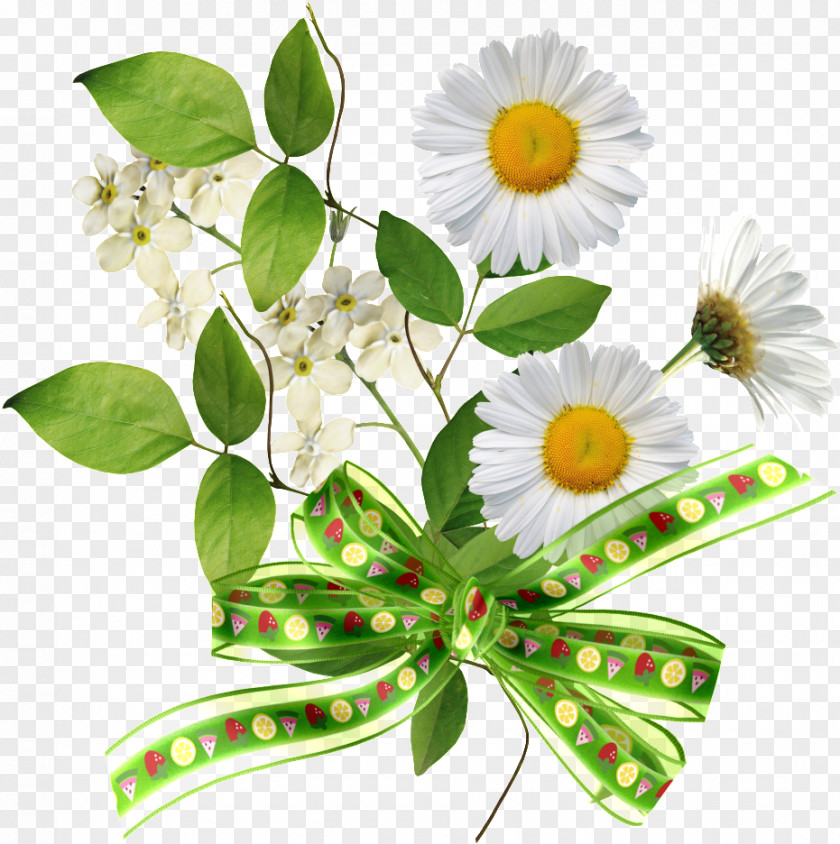 Bouquet Leaf Flower Plant Cut Flowers Petal Chamomile PNG