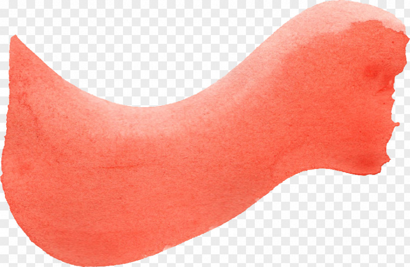 Brush Stroke Neck Shoe Peach PNG