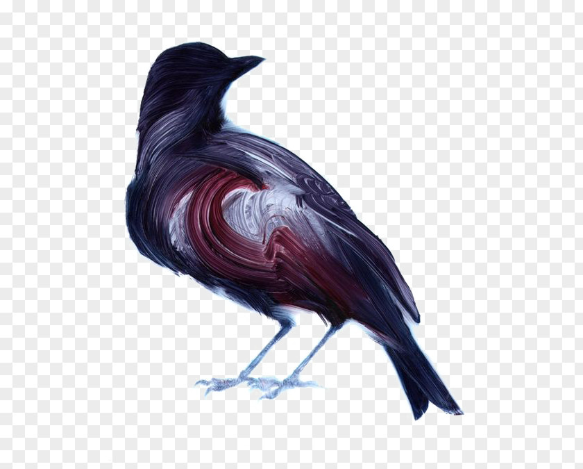Cartoon Crow Bird Painting Artist Illustrator Illustration PNG