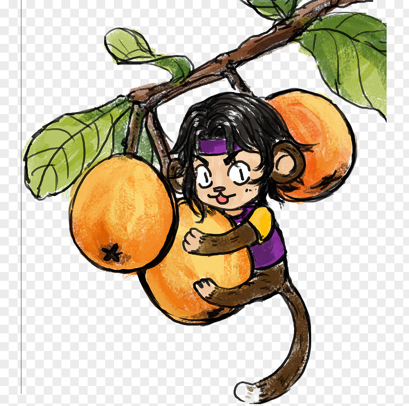 Cartoon Loquat Monkey Animation Illustration PNG