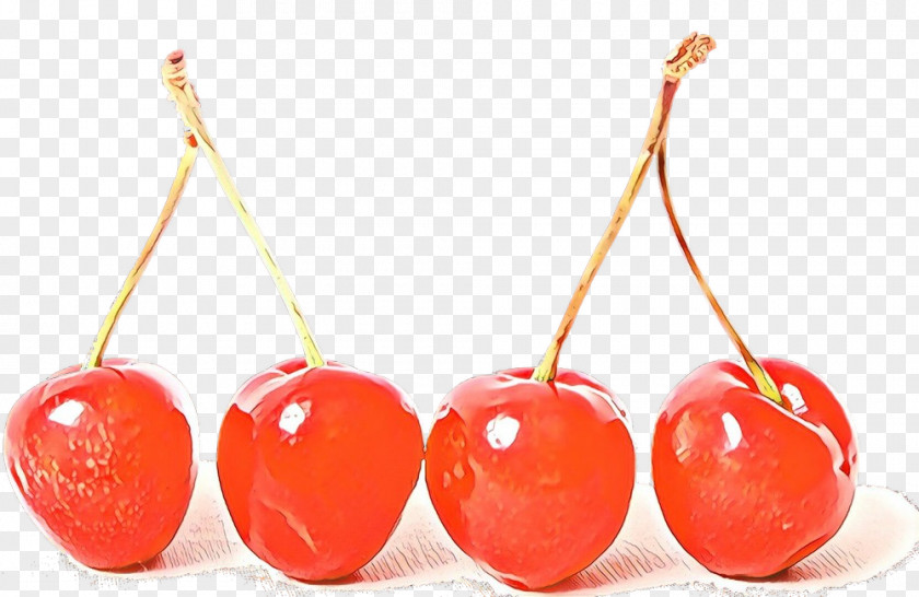 Cherry Red Fruit Plant PNG