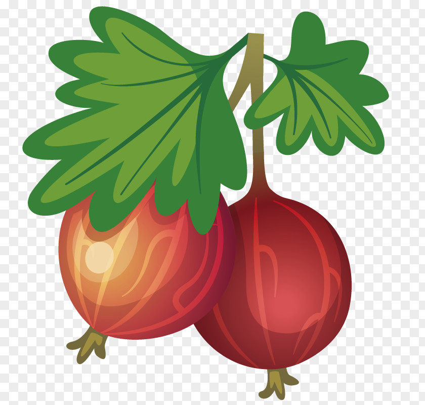 Hand-painted Model Pomegranate Clip Art PNG