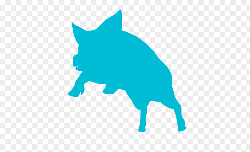 Tail Suidae Pig Cartoon PNG