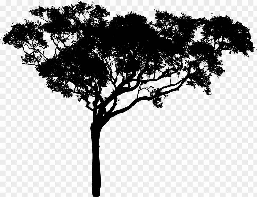 Tree Vector Silhouette Branch Clip Art PNG