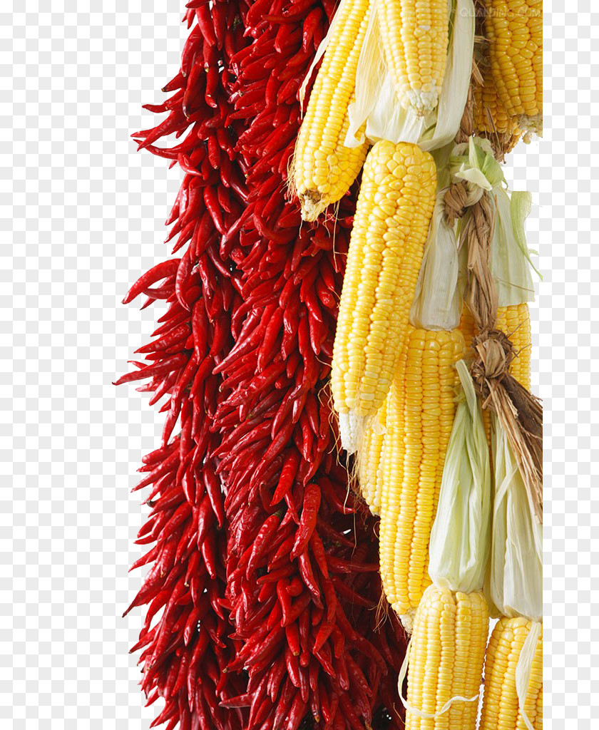 Chili,corn Chili Con Carne Cayenne Pepper Maize PNG
