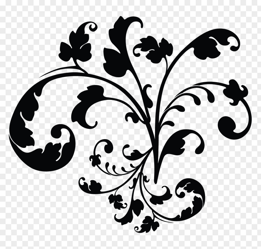 Design Floral Photography Clip Art PNG