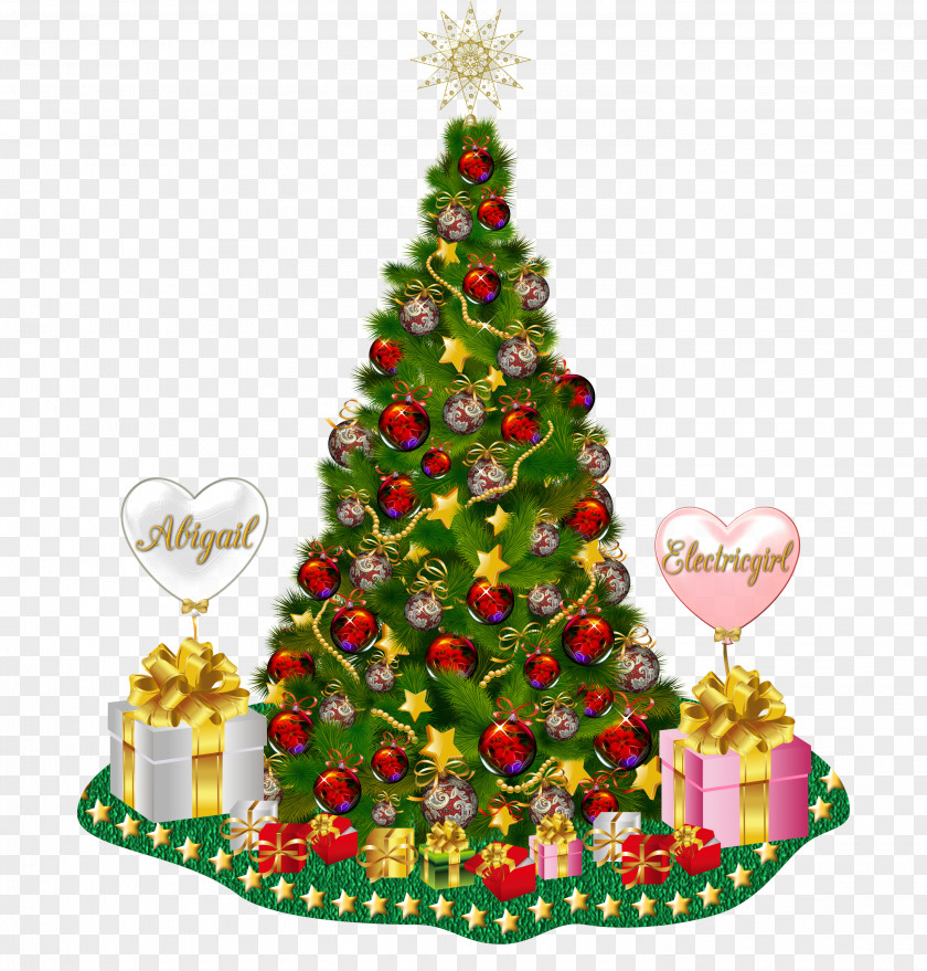 Evergreen Colorado Spruce Christmas Tree Ribbon PNG