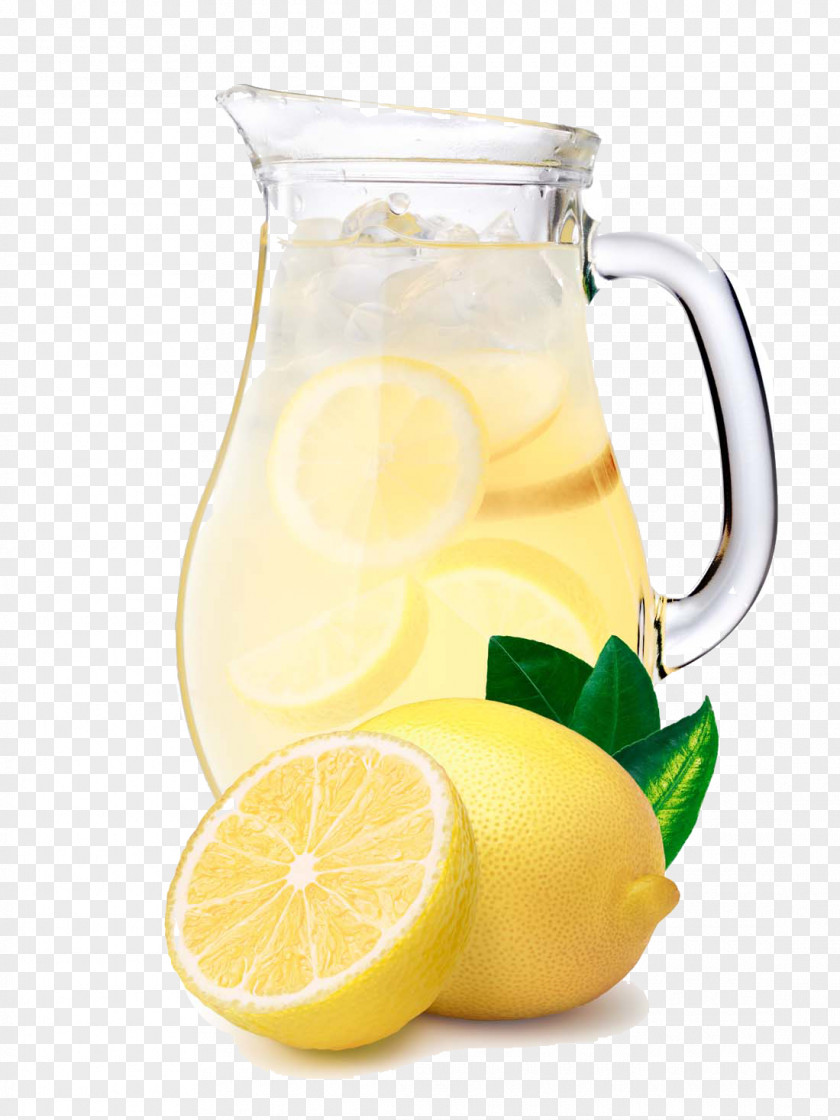 Fruit Juice Orange Soft Drink Lemonade PNG