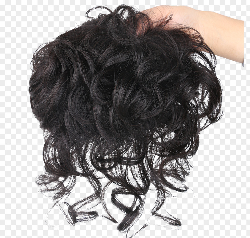 Hair Bangs Capelli Wig Poil PNG