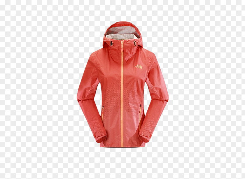 Jackets Female Models The North Face Outerwear Jacket Waterproofing Clothing PNG