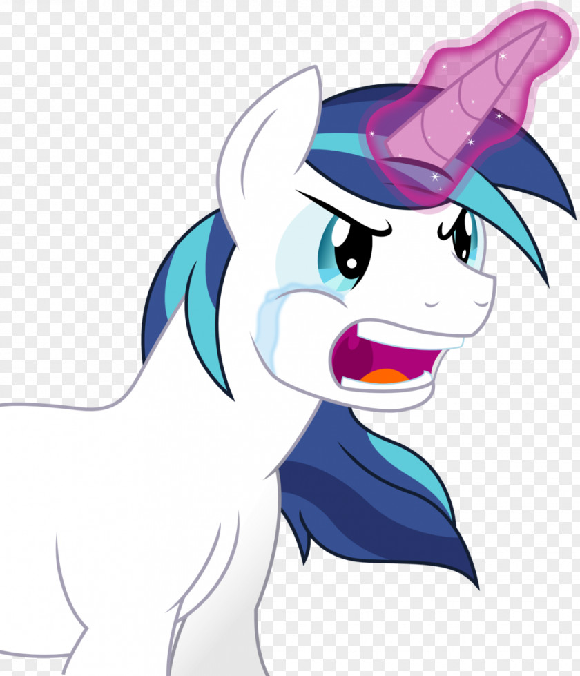 Shining Vector Pony Princess Cadance Art PNG