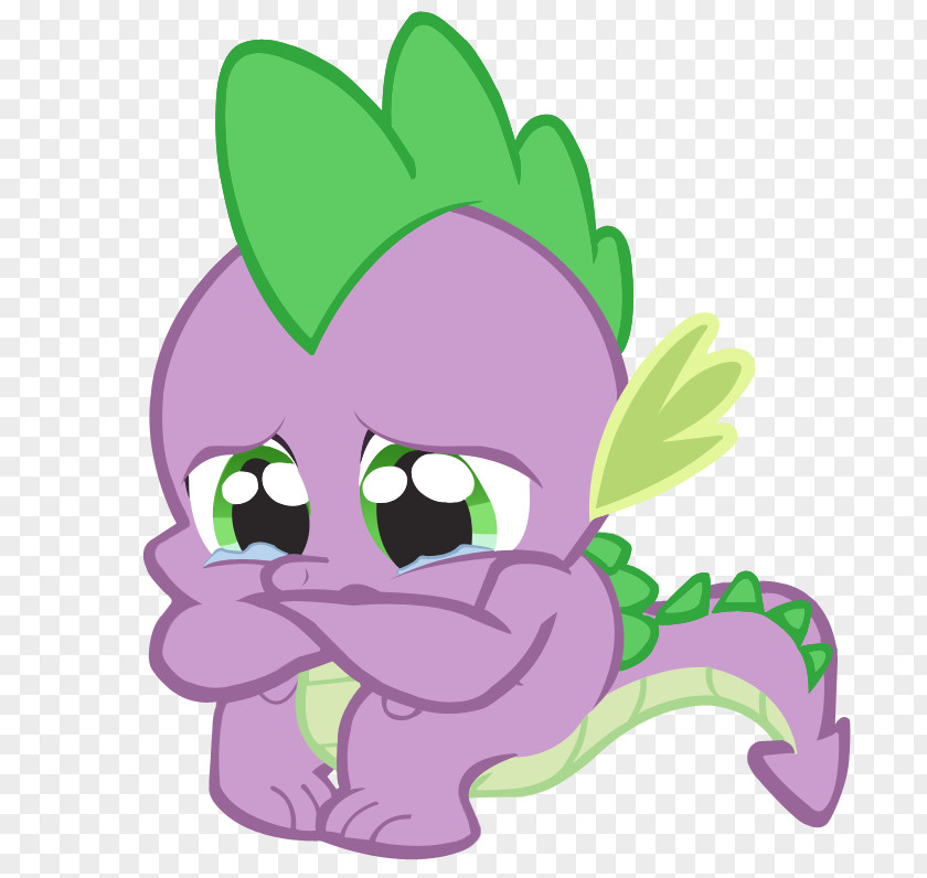 Spike Twilight Sparkle Rarity Rainbow Dash Applejack PNG