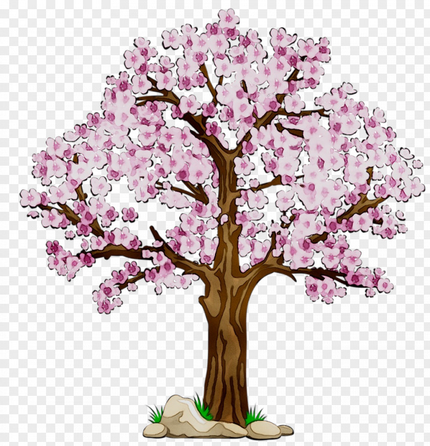 Vector Graphics Cherry Blossom Clip Art PNG