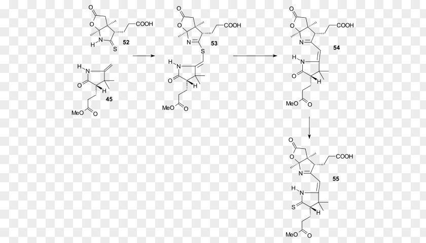 Vitamin B12 Total Synthesis B-12 Cyanocobalamin PNG