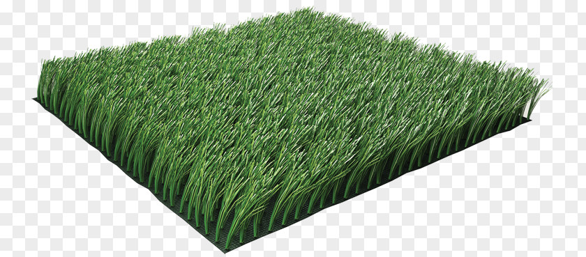 Arvores Artificial Turf Landscape Architecture Garden Poly-Turf PNG