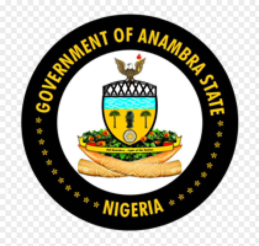 Director Of Operations Resume Anambra State House Assembly Government Tax PNG