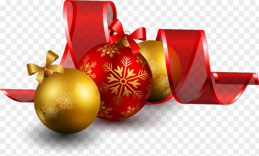 H Christmas Ornament New Year's Day PNG