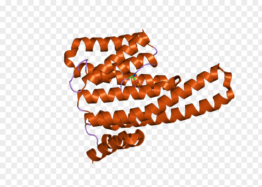 YWHAE 14-3-3 Protein Gene Font PNG