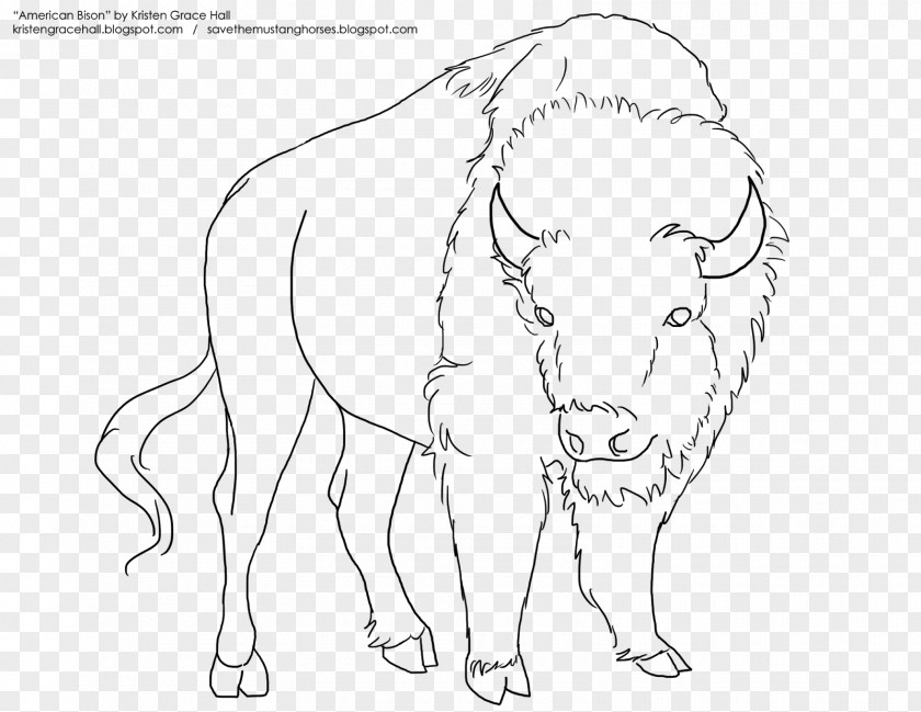 Bison Line Art Drawing American Horse Sketch PNG