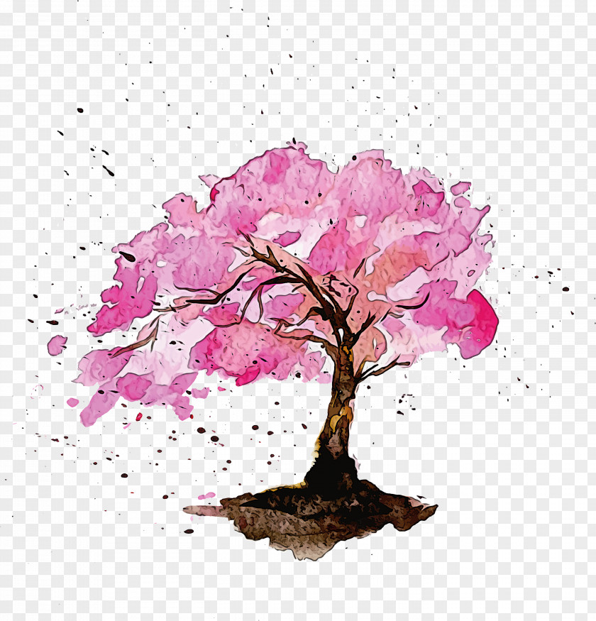 Cherry Blossom PNG