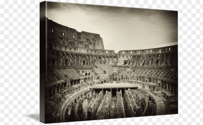 Colosseum White PNG