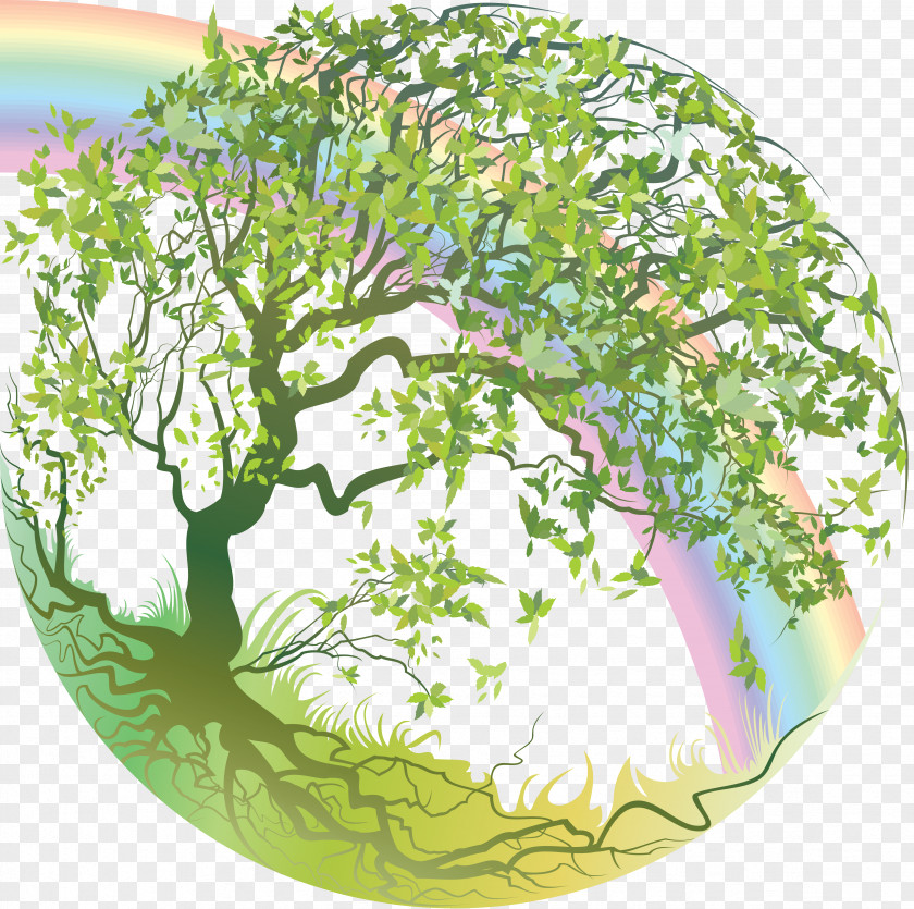 Environment Tree Of Life Forest Sophrology PNG