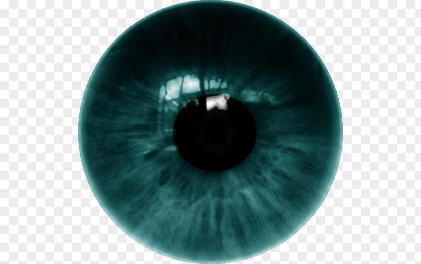 LENS Human Eye Iris Contact Lenses PNG