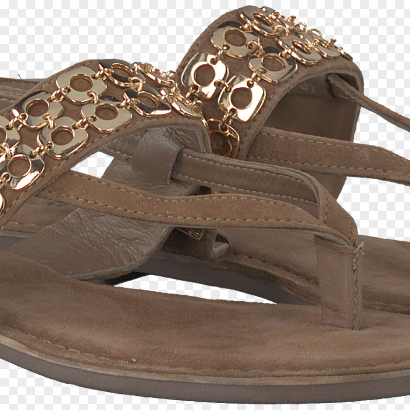 Sandal Shoe Slide Moles Woman PNG
