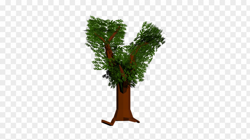 Tree Woody Plant Branch Twig PNG