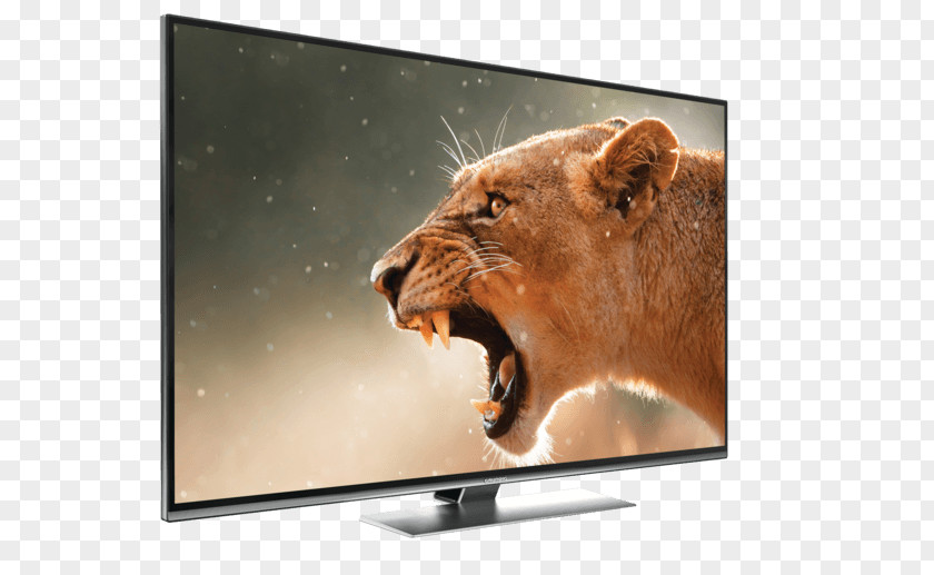 Ultrahighdefinition Television Kruger National Park Canvas Print Art Lion PNG