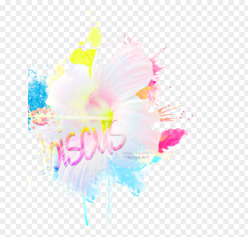 Watercolor Flowers Watercolor: Watercolour Painting Floral Design Graphic PNG