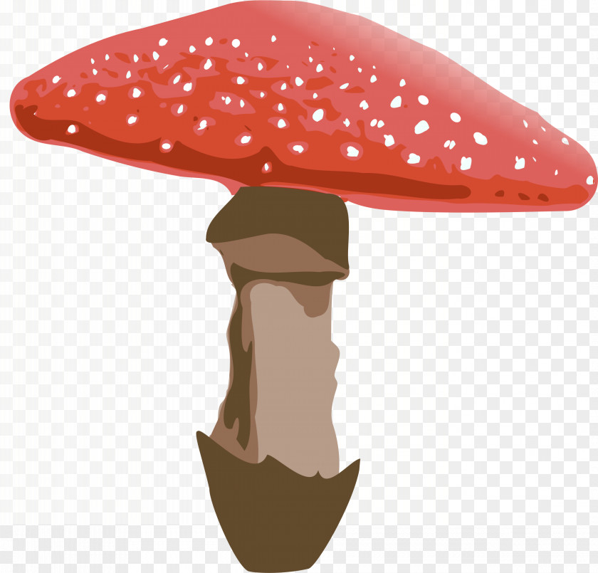 Amanita Muscaria File Mushroom Fungus Clip Art PNG