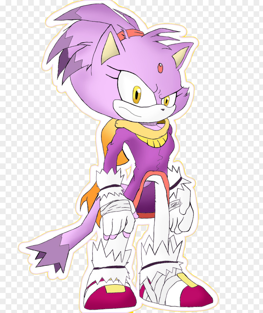 Blaze Amy Rose Ariciul Sonic The Cat Hedgehog PNG