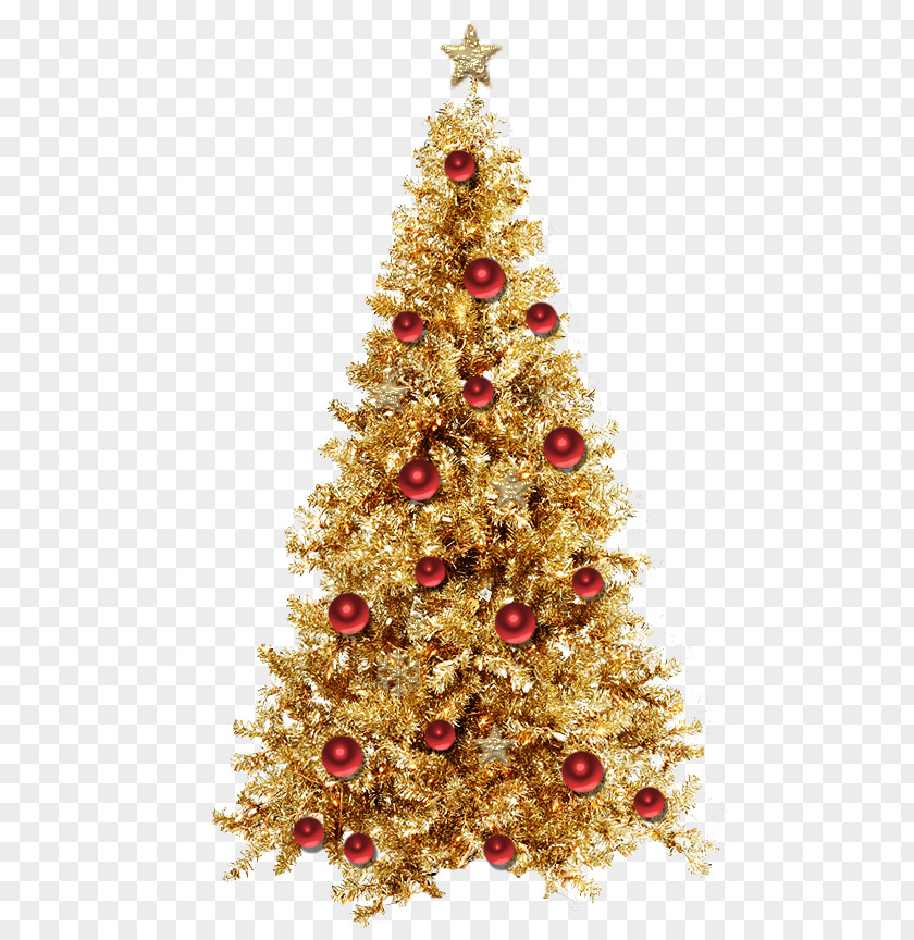 Christmas Tree New Year PNG