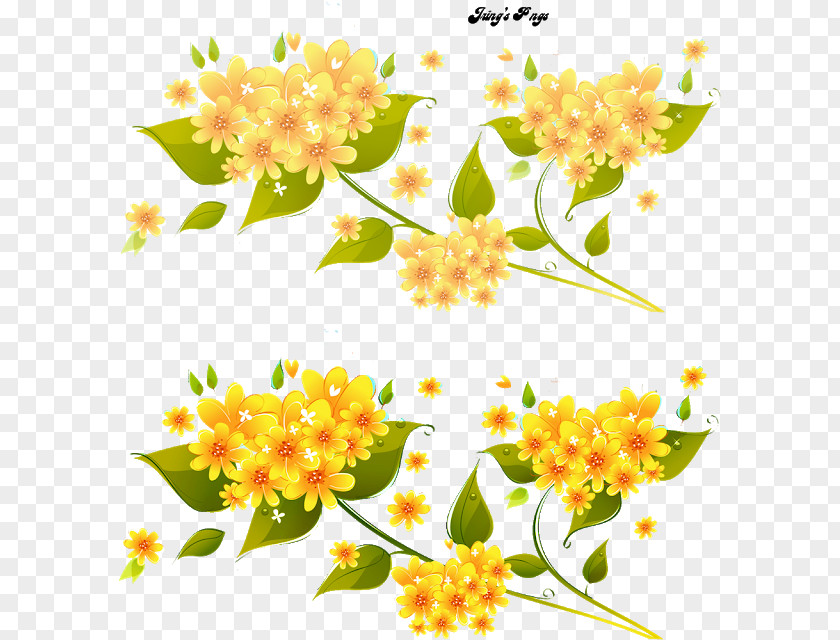 Floral Creepers Flower Design PNG